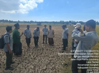 Penyuluh Pertanian Sosialisasikan Demfarm PMAAS di Kecamatan Dungkek