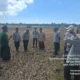 Penyuluh Pertanian Sosialisasikan Demfarm PMAAS di Kecamatan Dungkek