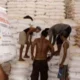 Petani di Aceh Singkil Keluhkan Sulitnya Mendapatkan Pupuk Bersubsidi: Harga Melambung, Produksi Terancam