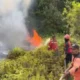 Puncak Kemarau Diprediksi Agustus-September 2026, BMKG: Waspada Dampak El Nino