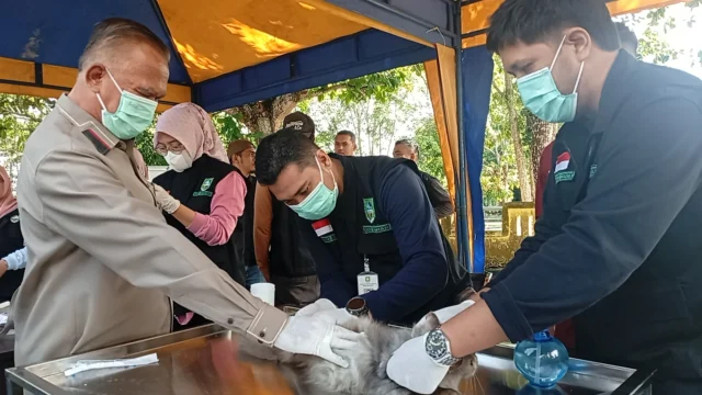 Ratusan Hewan di Bengkalis Terima Vaksin Rabies: Antusiasme Masyarakat Tinggi, Target Cakupan Ditingkatkan