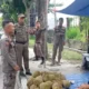Satpol PP Pekanbaru Tegaskan Penertiban PKL tanpa Tebang Pilih: Pendekatan Humanis di Ruas Jalan Protokol