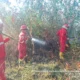 Setelah Dua Hari, Kebakaran Hutan di Muara Enim Berhasil Dipadamkan