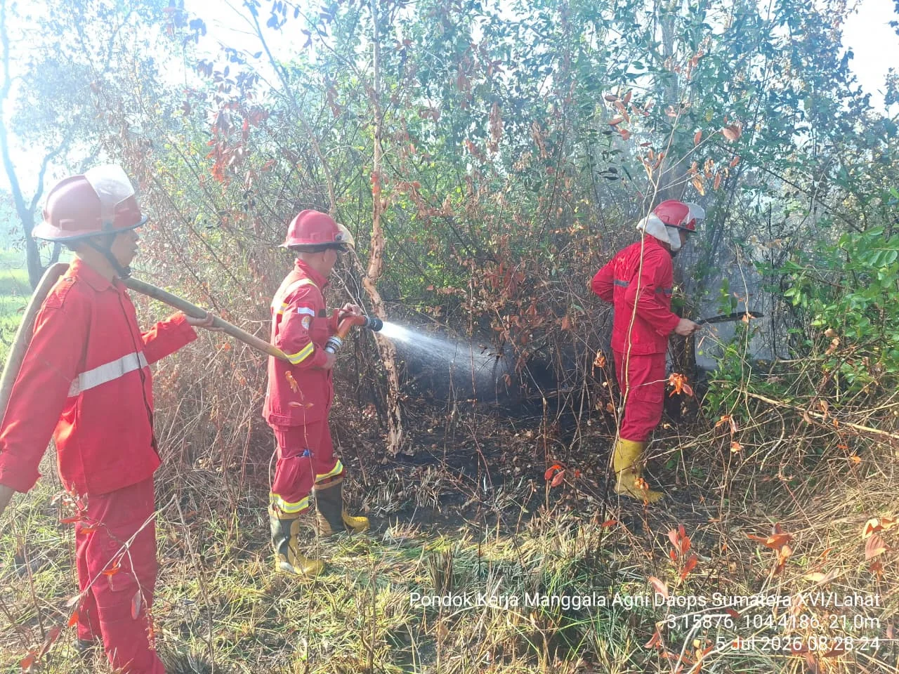 Setelah Dua Hari, Kebakaran Hutan di Muara Enim Berhasil Dipadamkan