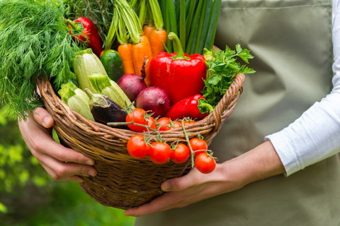 Tertarik Berkebun di Rumah? Ini Solusi Praktis & Berkelanjutan yang Bisa Dicoba