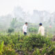 64 Ribu Hektare Hutan dan Lahan Terbakar, Polri Berhasil Kendalikan 62 Persen