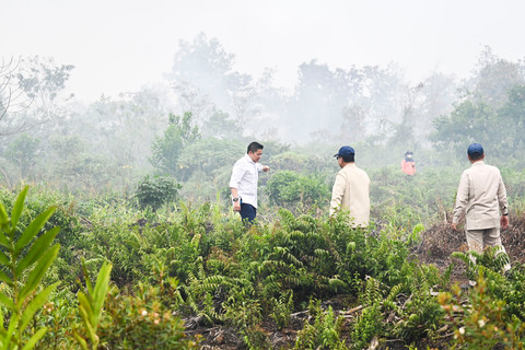 64 Ribu Hektare Hutan dan Lahan Terbakar, Polri Berhasil Kendalikan 62 Persen