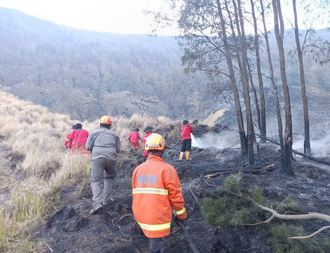 921 Hektare Lahan di Bromo Terbakar Selama 9 Hari, Cuaca Jadi Kendala Pemadaman