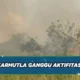 Asap Karhutla Ganggu Penerbangan di Kalimantan dan Papua, Ribuan Penumpang Terdampak