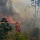 Asap Karhutla Kalimantan Capai Negara Tetangga, Mensesneg Buka Suara Soal Komunikasi Menlu
