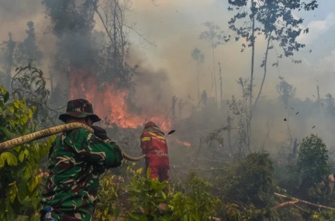 Asap Karhutla Kalimantan Capai Negara Tetangga, Mensesneg Buka Suara Soal Komunikasi Menlu