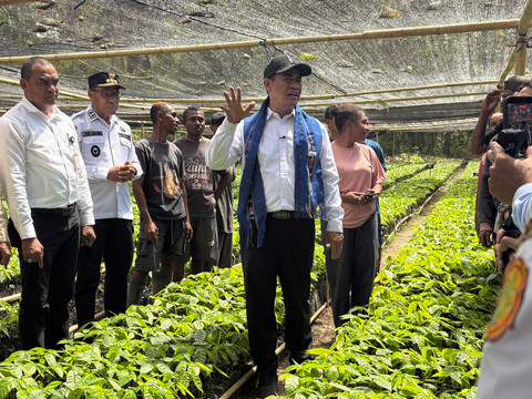 Beri Bibit Kakao-Kelapa, Mentan Yakin Bisa untuk Pengentasan Kemiskinan di Alor
