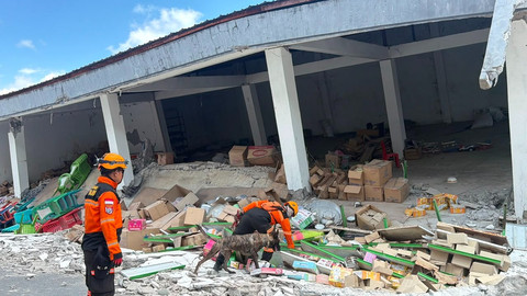 BNPB Catat Gempa Susulan di NTT Capai 5.688 Kali dengan Magnitudo Terbesar 6,2