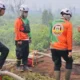 BNPB Sebut Total Luas Karhutla di Indonesia 72.798 Hektare