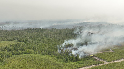 BNPB Ungkap Titik Hotspot dan Kendala Pemadaman Karhutla di Kalimantan-Sumatera