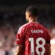 Bradley Barcola Masuk, Bagaimana Nasib Cody Gakpo di Liverpool Ini Jawaban Andoni Iraola