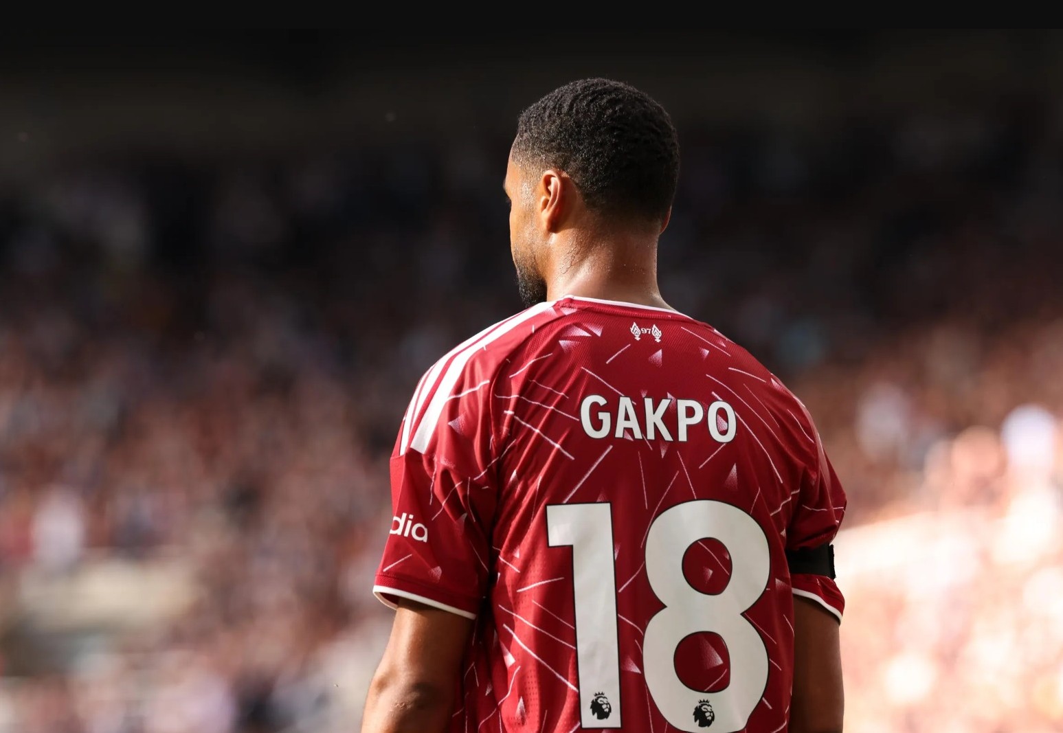Bradley Barcola Masuk, Bagaimana Nasib Cody Gakpo di Liverpool Ini Jawaban Andoni Iraola