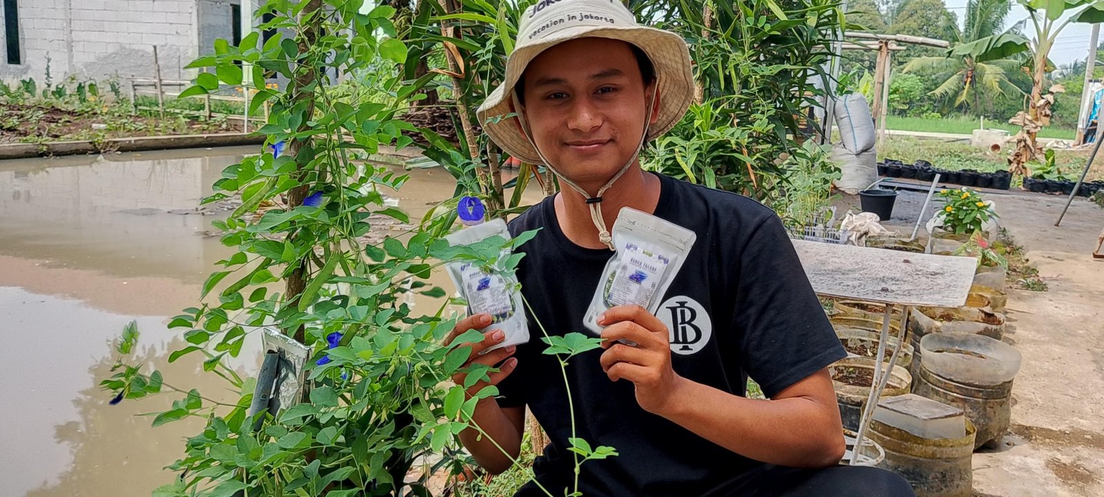 Cerita Pemuda Asal Pandeglang Sulap Lahan Marginal Jadi Kebun Bunga Telang