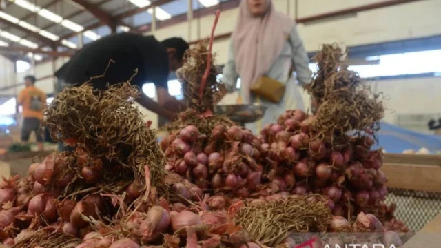 Fakta Upah Kupas Bawang Susanah: Rp700 Per Kilogram, Bukan Rp700 Ribu