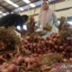 Fakta Upah Kupas Bawang Susanah: Rp700 Per Kilogram, Bukan Rp700 Ribu
