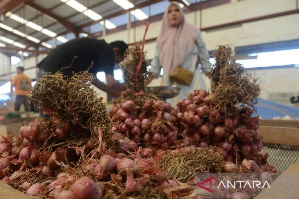 Fakta Upah Kupas Bawang Susanah: Rp700 Per Kilogram, Bukan Rp700 Ribu
