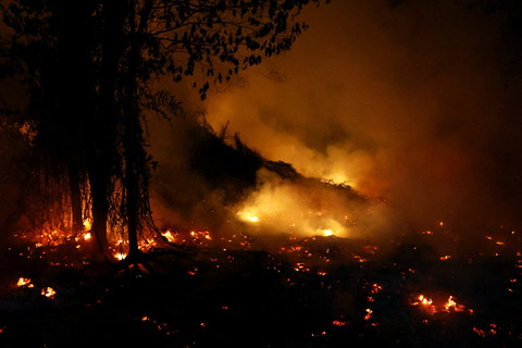 Foto Kebakaran Hutan Kepung Kalimantan, Asap Tebal Selimuti Permukiman Warga