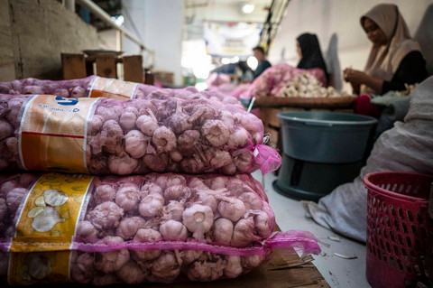 Harga Bawang Putih Dorong Inflasi di Jawa Tengah pada Juli 2026