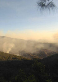 Hutan Gunung Bromo Terbakar, 3 Jalur Wisata Ditutup