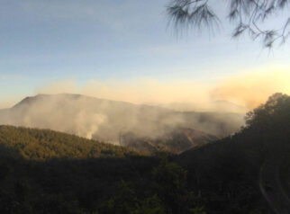 Hutan Gunung Bromo Terbakar, 3 Jalur Wisata Ditutup