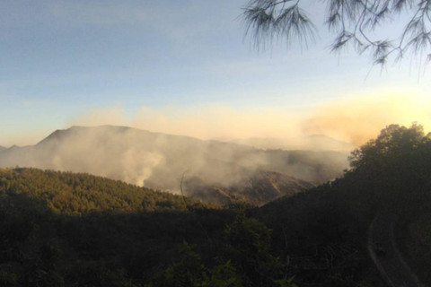 Hutan Gunung Bromo Terbakar, 3 Jalur Wisata Ditutup