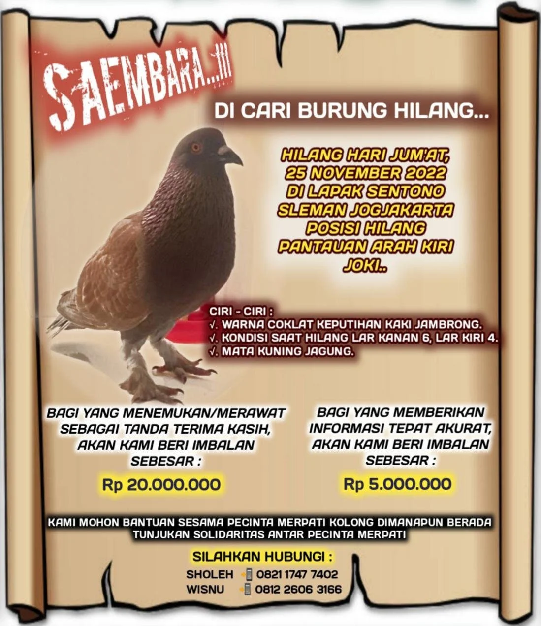 ICW Ungkap Pengadaan Burung Merpati Senilai Rp 305 Juta dalam Peringatan HUT ke-81 RI