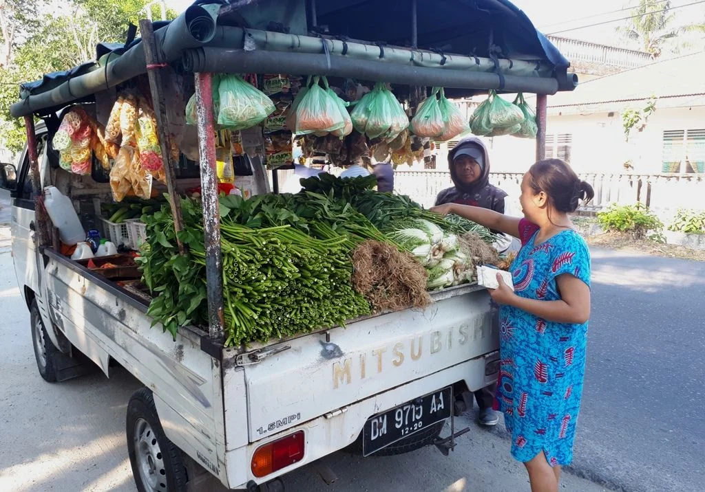 Insanul Fahmi Bangkit dari Krisis Ekonomi dengan Jualan Sayur Keliling dan Fokus Memulihkan Diri