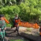 Jenazah Pendaki Brebes yang Jatuh ke Kawah Gunung Slamet Telah Dievakuasi