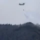 Jepang Kirim 600 Pasukan dan 3 Helikopter Chinook Bantu Atasi Kebakaran Hutan di Kalimantan