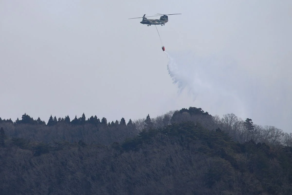 Jepang Kirim 600 Pasukan dan 3 Helikopter Chinook Bantu Atasi Kebakaran Hutan di Kalimantan