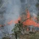 Jepang Kirim Kapal Kunisaki dan Tiga Helikopter Bantu Padamkan Karhutla Indonesia