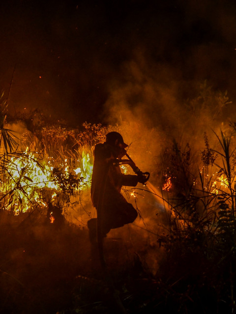 Karhutla di Ketapang, Warga Diduga Kehabisan Oksigen Sebelum Tewas Terbakar