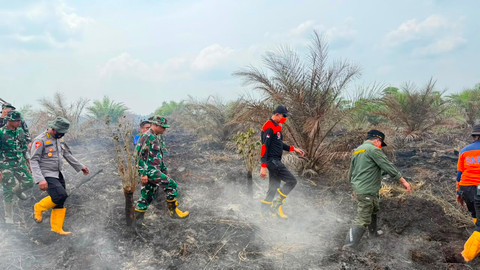 Karhutla Jambi Capai 300 Hektare, Gubernur Ajak Warga Salat Minta Hujan