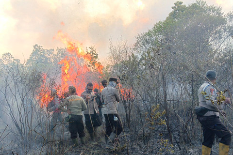 Karhutla Way Kambas Diduga Sengaja Dibakar, TNWK Pantau Kondisi Satwa Liar