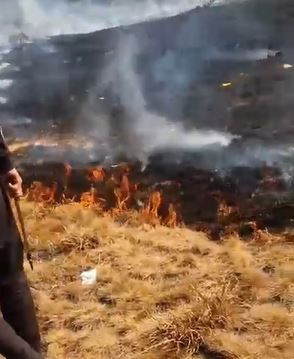 Kebakaran Gunung Gede Pangrango Masih Terjadi, Polisi Terjunkan Pleton Bawa APAR