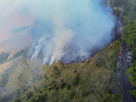 Kebakaran Hutan di Bromo Tak Terkait Aktivitas Vulkanik, Status Tetap Waspada