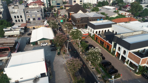 Keindahan Foto Mekar Tabebuya di Kawasan Kemang Jakarta