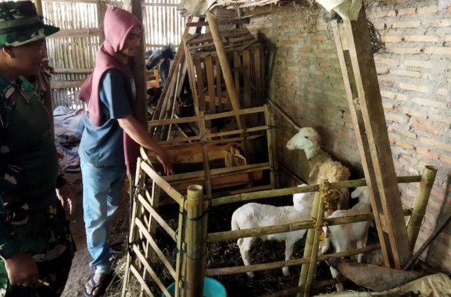 Membiakkan Asa di Tepi Desa: Upaya Mandiri Warga Tengaran Memperkuat Ekonomi Keluarga