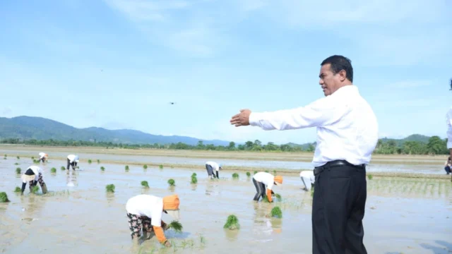 Mentan Amran Percepat Intervensi Pertanian dan Penyaluran Bantuan Pangan di Alor untuk Tekan Kemiskinan