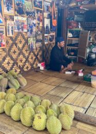 Menyusuri Baduy, Berburu Durian Manis Langsung dari Kebun