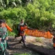 Pendaki Asal Brebes Terjatuh ke Kawah Gunung Slamet, Tim SAR Lakukan Evakuasi