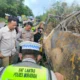 Polisi Ancam Jemput Paksa Direktur Bus ALS Tersangka Kecelakaan Maut di Muratara
