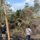 Polisi Tangkap Pelaku Pembakaran Hutan dan Lahan di Palangka Raya dan Jambi