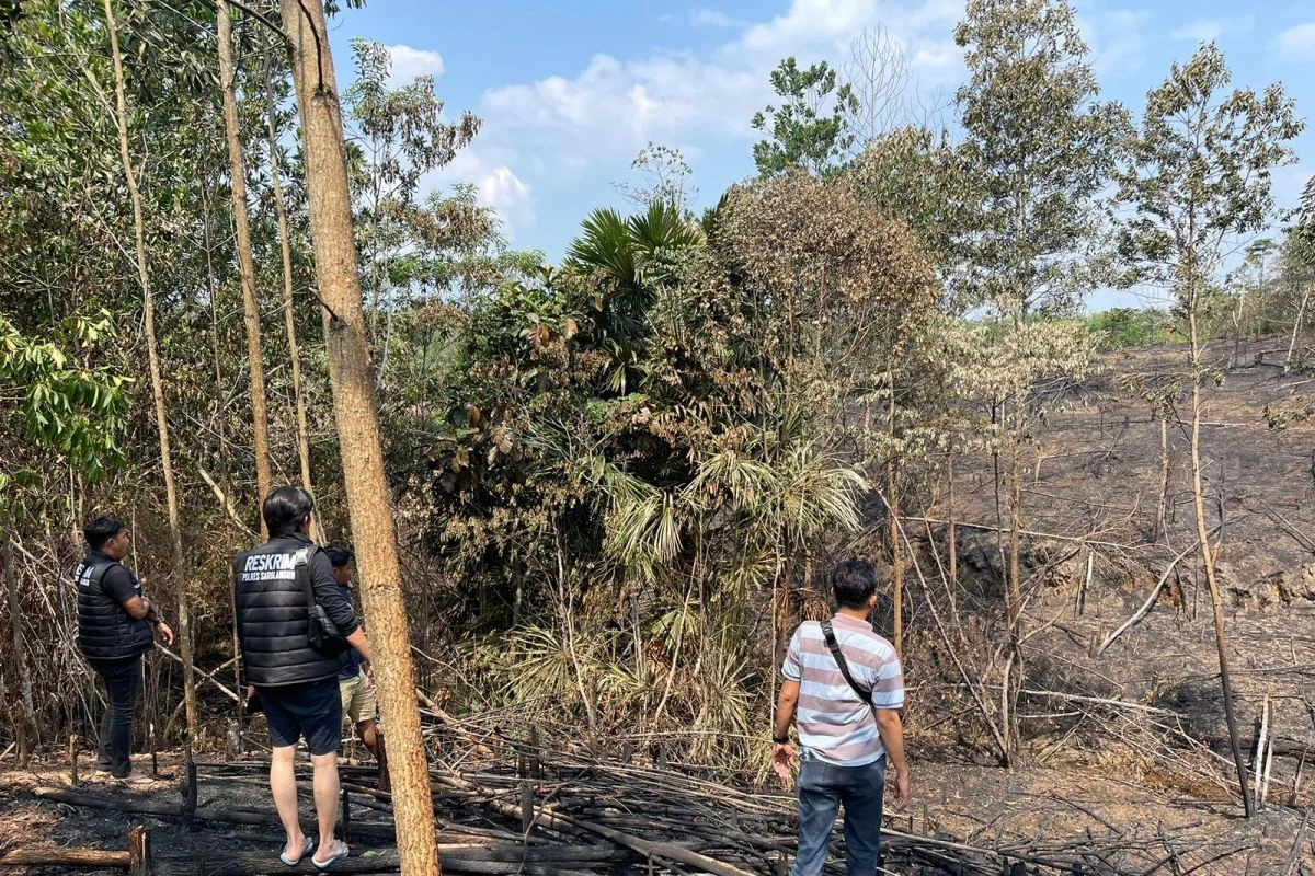 Polisi Tangkap Pelaku Pembakaran Hutan dan Lahan di Palangka Raya dan Jambi
