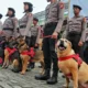 Polri Kirim 10 Anjing K9 dan Ribuan Personel untuk Penanganan Gempa NTT, Fokus Sikka dan Manggarai